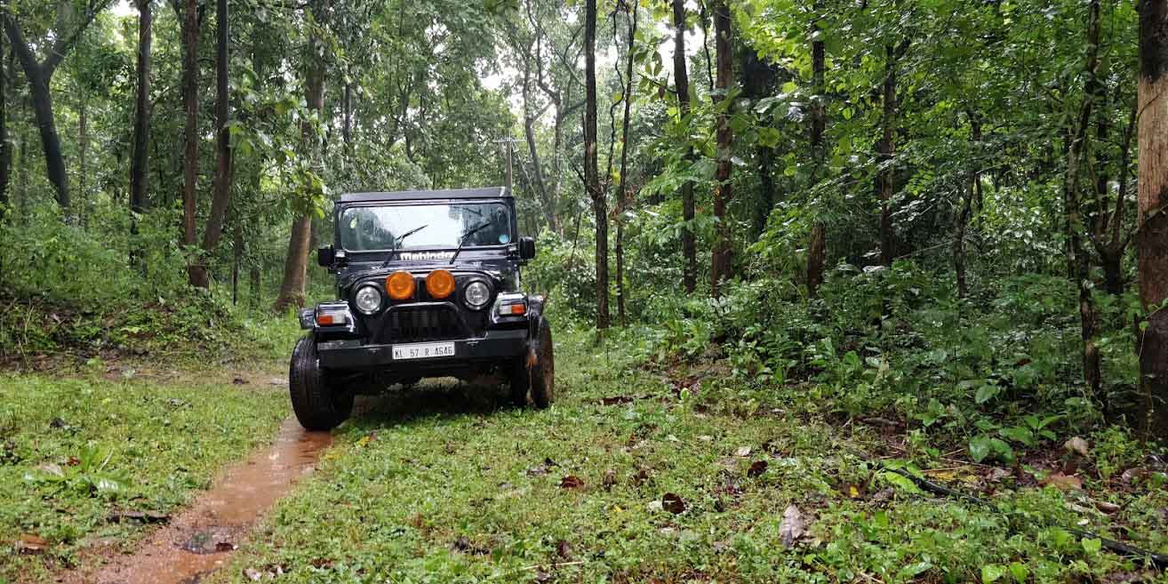 4×4 vehicle in ela forest stay