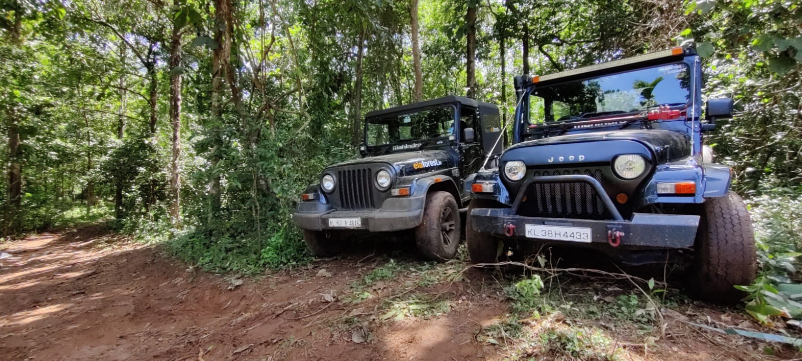 4×4 Vehicle in ela forest
