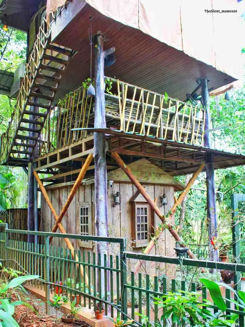 Jungle Resorts