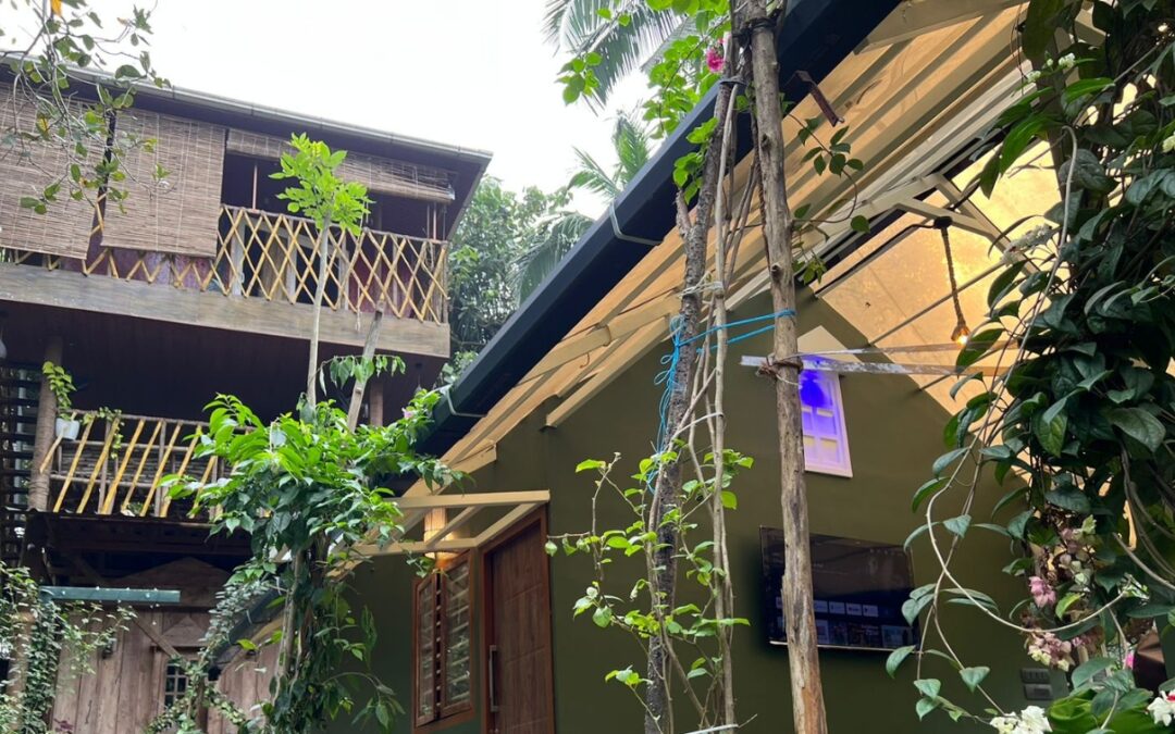 8 Benefits of Choosing a Forest Stay for Your Next Vacation