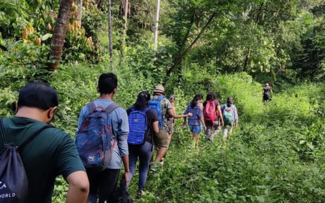 Why Forest Stays Are Perfect for Your Kerala Trip